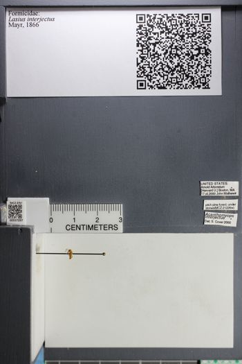 Media type: image;   Entomology 557297